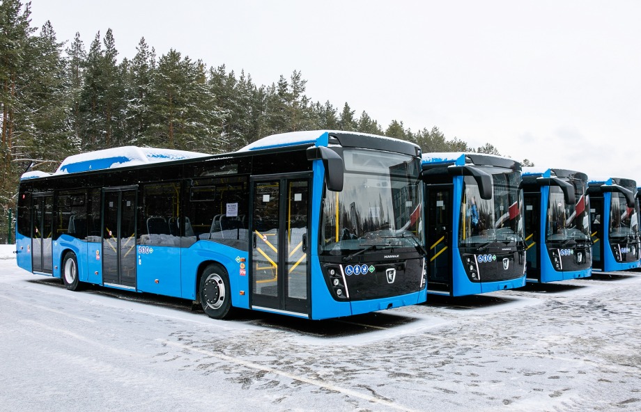 5uyo46g3l79o03oii3pccsz6dwxzo4xx