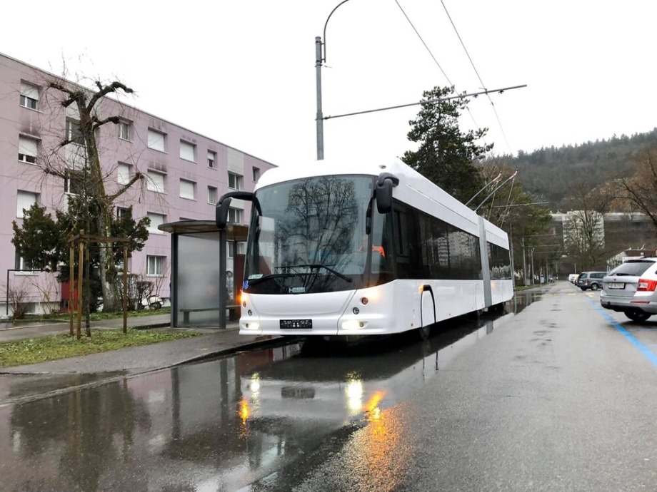 88009960 10219737586061745 8437976084972044288 o