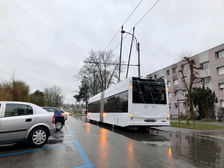 89032574 10219737586501756 4924535310328528896 o