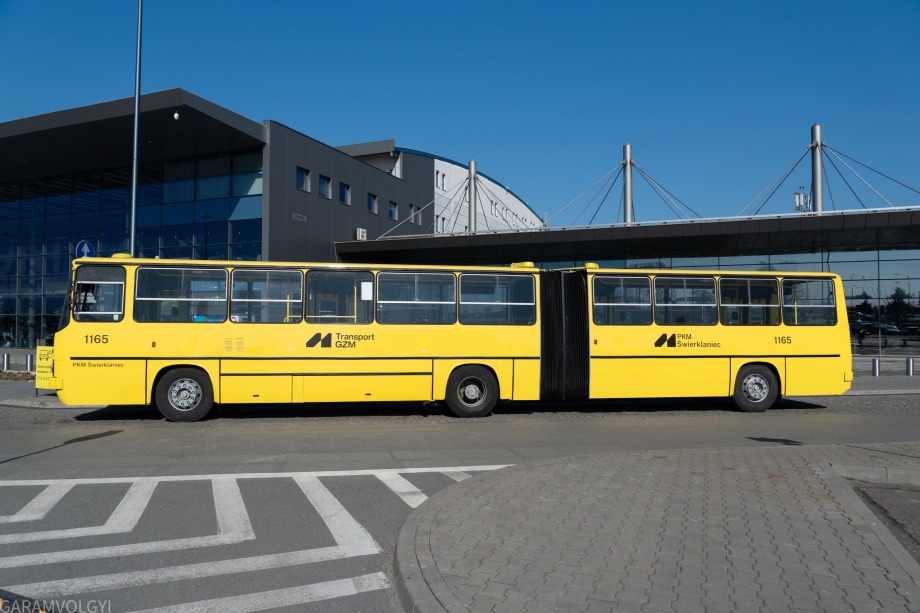 IMG 7142