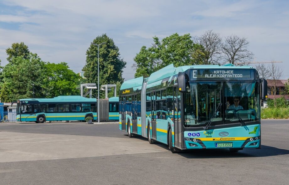 481566721 2510206879322491 5247129579086198605 n2