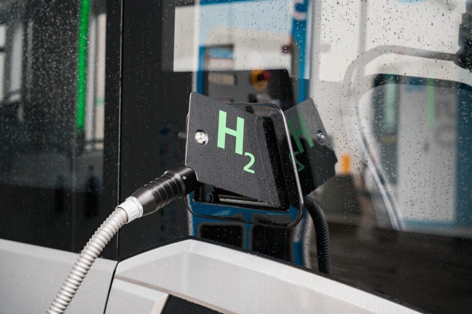 499567157 1109600444533142 6505980438403595483 n