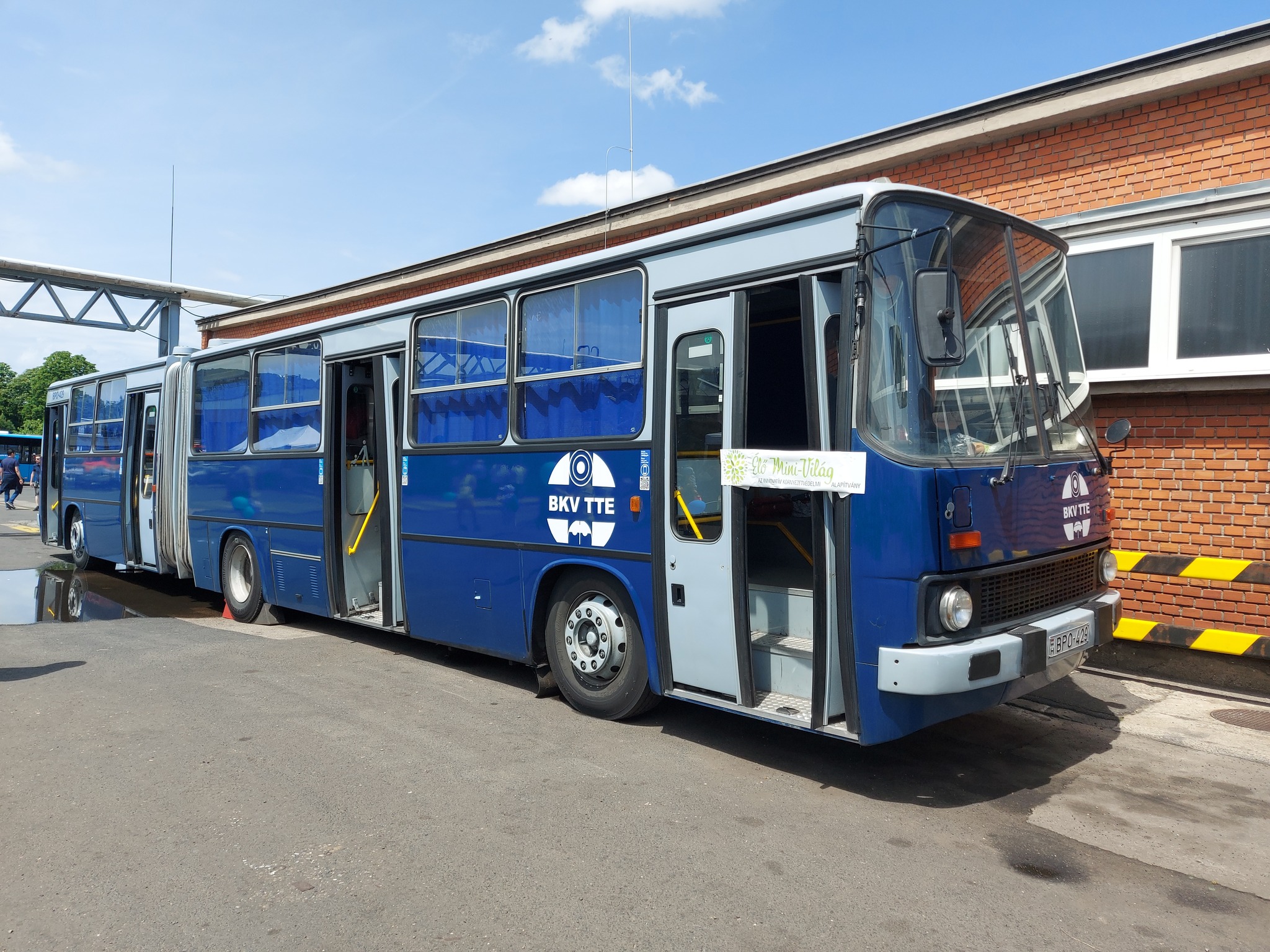 499573573 1033239942286490 5670446769948795915 n