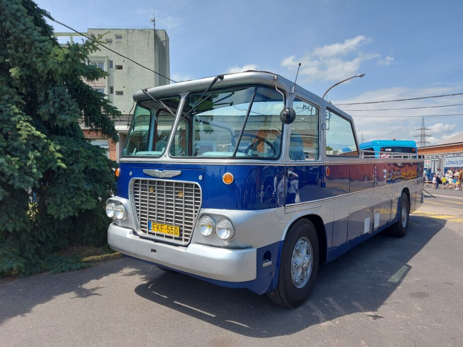 499783081 1033238752286609 7384711355993371956 n