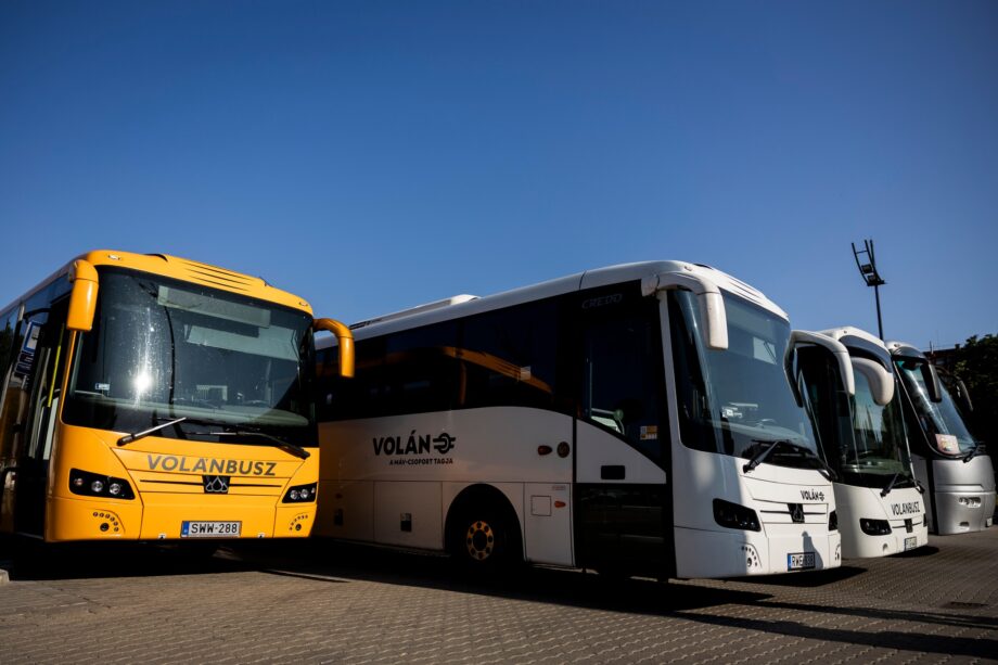 504819877 1235510177929153 3766013326048454096 n