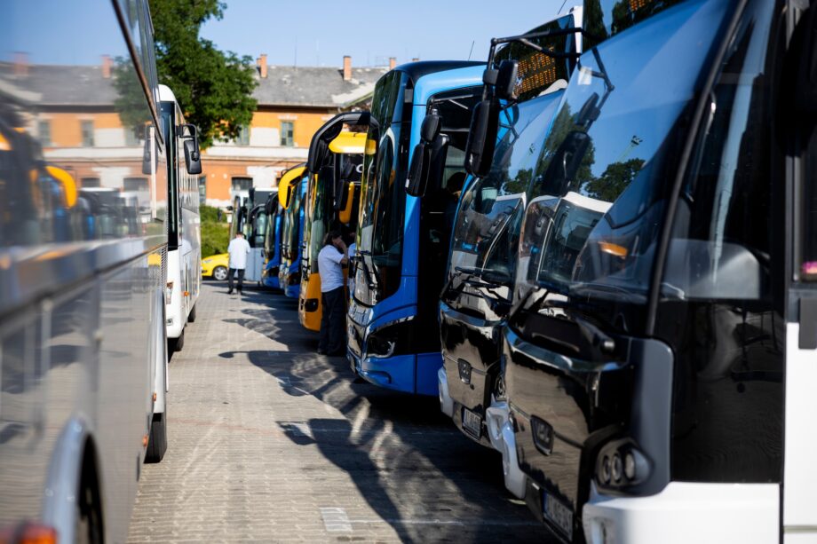 504826882 1235510164595821 3177161602199705291 n