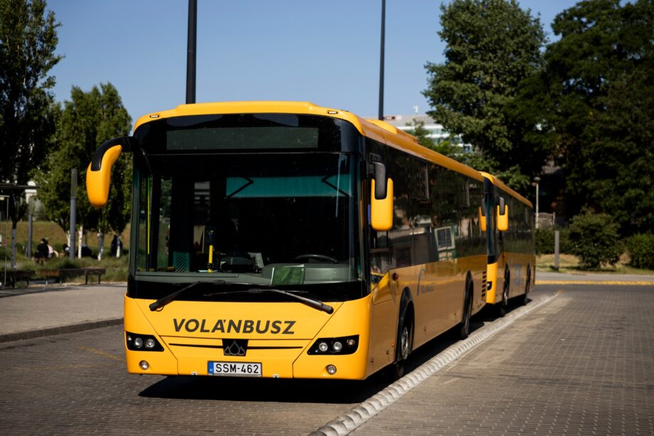 505103887 1235510207929150 4794100281989693139 n