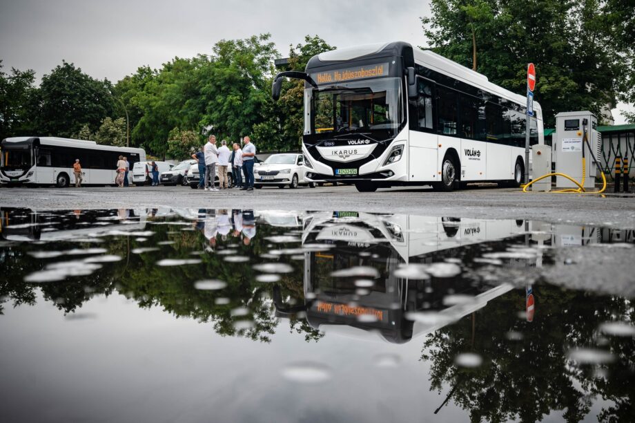 512681950 703946915864280 5604638425403250008 n