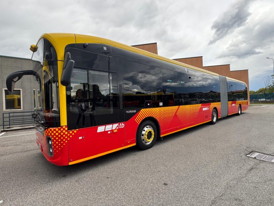 518358497 1115574513965217 1304980747893411923 n