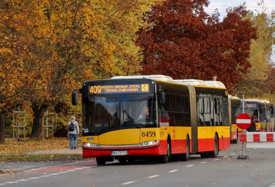 485766438 1062282669266317 2654776616540182547 n