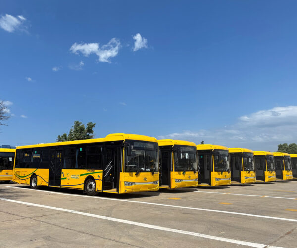 Háromszáz darabos tunéziai megrendelést teljesített a King Long