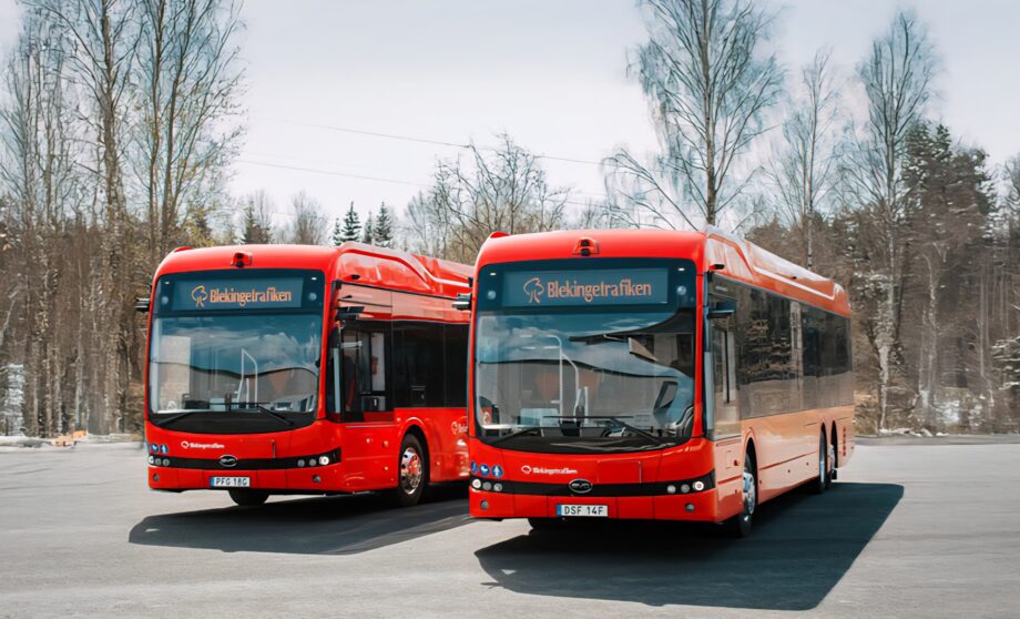 meta epi nyabussar250808