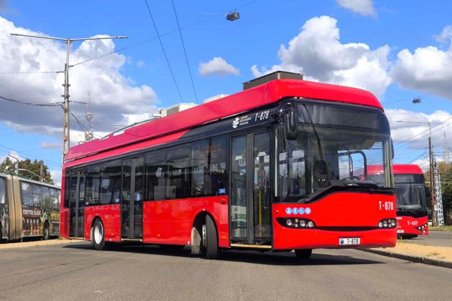 554718002 1189385589886738 7567171163830616017 n