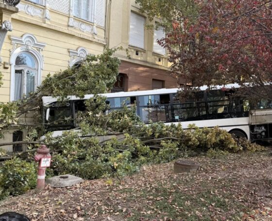 Iskolaépületnek csapódott a Volán egyik autóbusza Szolnokon