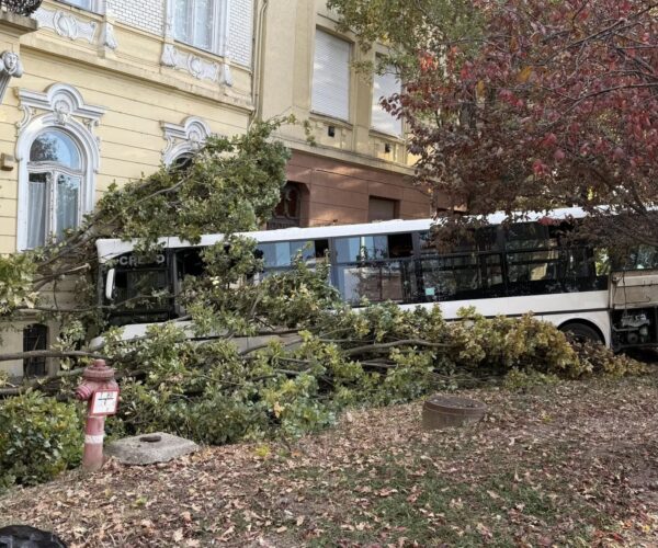 Iskolaépületnek csapódott a Volán egyik autóbusza Szolnokon