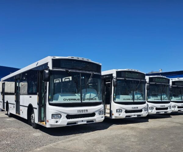 Újabb argentin városban jelennek meg az Iveco Bus gázüzemű autóbuszai