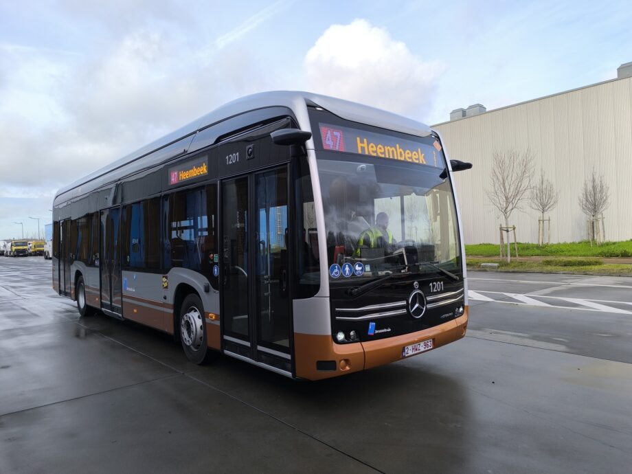 600910758 1265230262292154 3756978084985773407 n