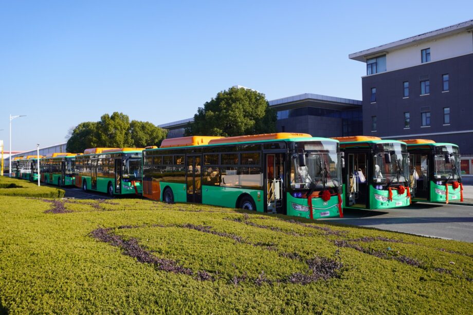 611165468 1177767084569734 1607753461737439736 n