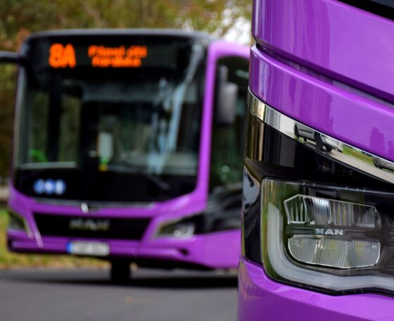 Fiatal flotta, stabil működés, elektromos buszüzem – a veszprémi V-Busz 2025-ös évének mérlege