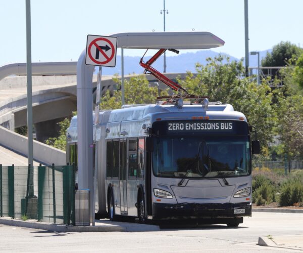 Lassan indult, de gyorsul a villamosítás: már több mint 8000 zéró emissziós busz fut az Egyesült Államok transit flottáiban