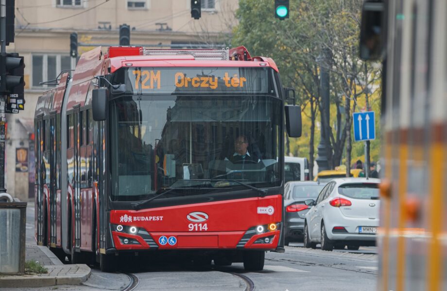 345167185 668291661725201 5246374299659725970 n