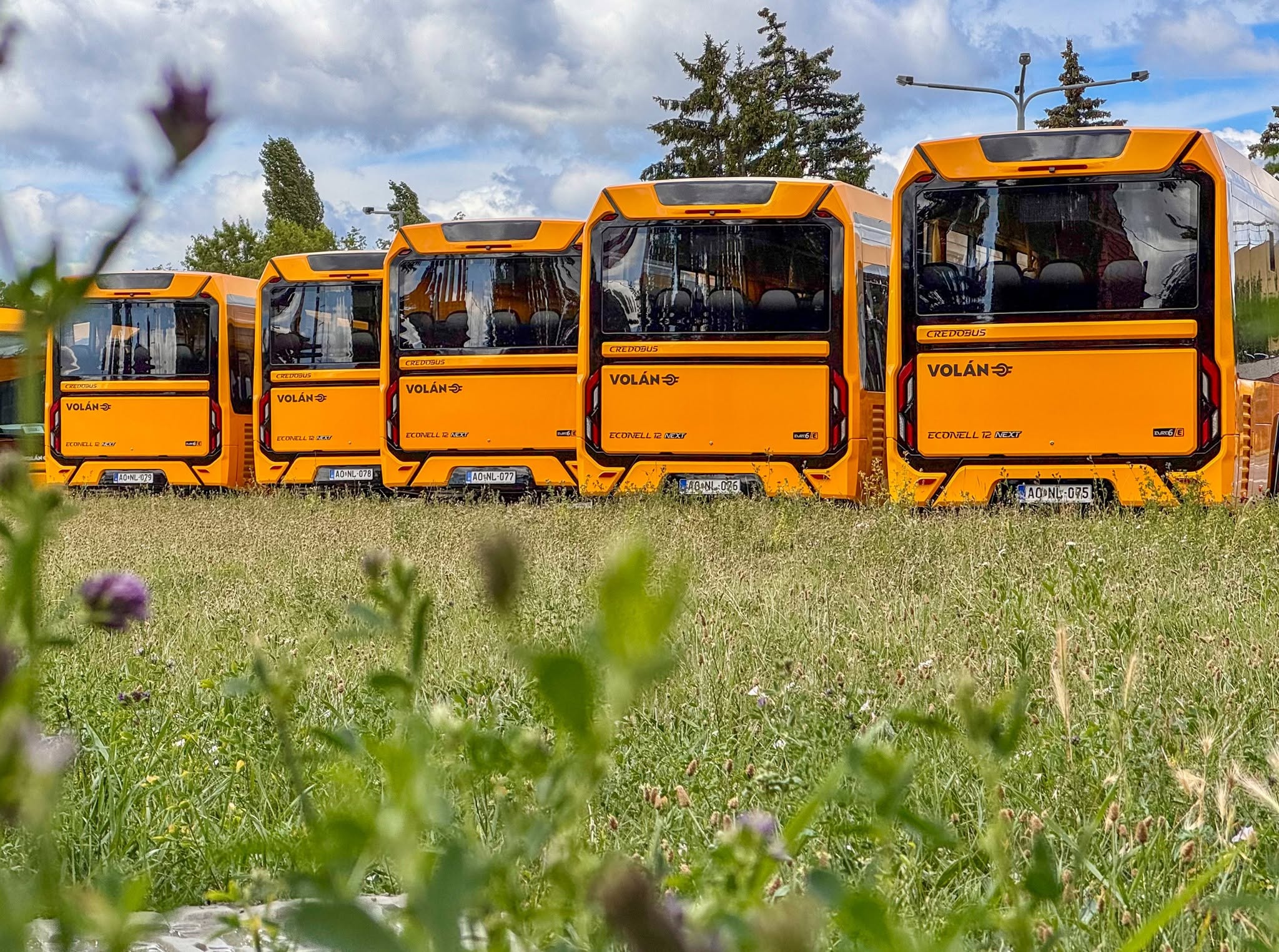 Elérte az 550 darabot a Volánnak átadott Econell Next autóbuszok száma 4 722147309 1449636330524478 2545225045825972742 n