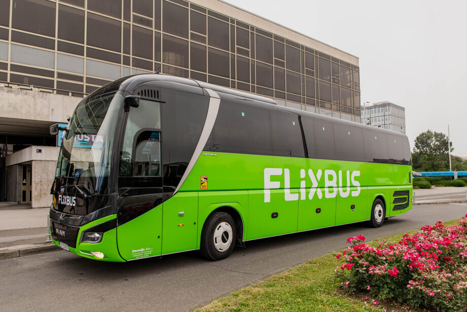FlixBus Andrea Mulder cimlapkep