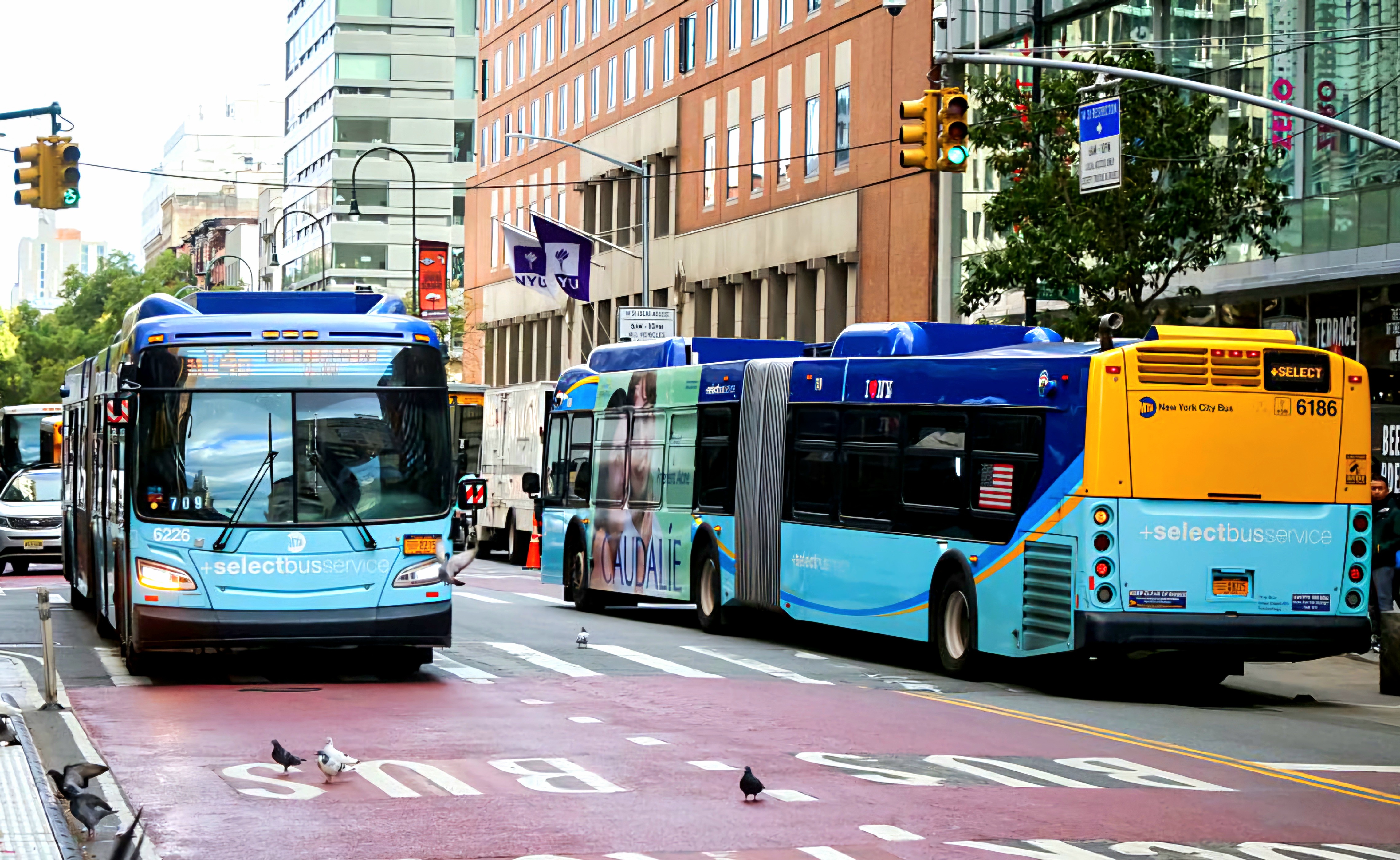 New York történelmi fejlesztési programmal ad új lendületet a buszközlekedésnek