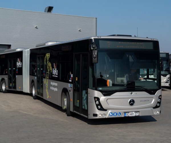 Nyilvánosan meghurcoltak egy kecskeméti buszvezetőt, a vizsgálat végül minden vádat megcáfolt
